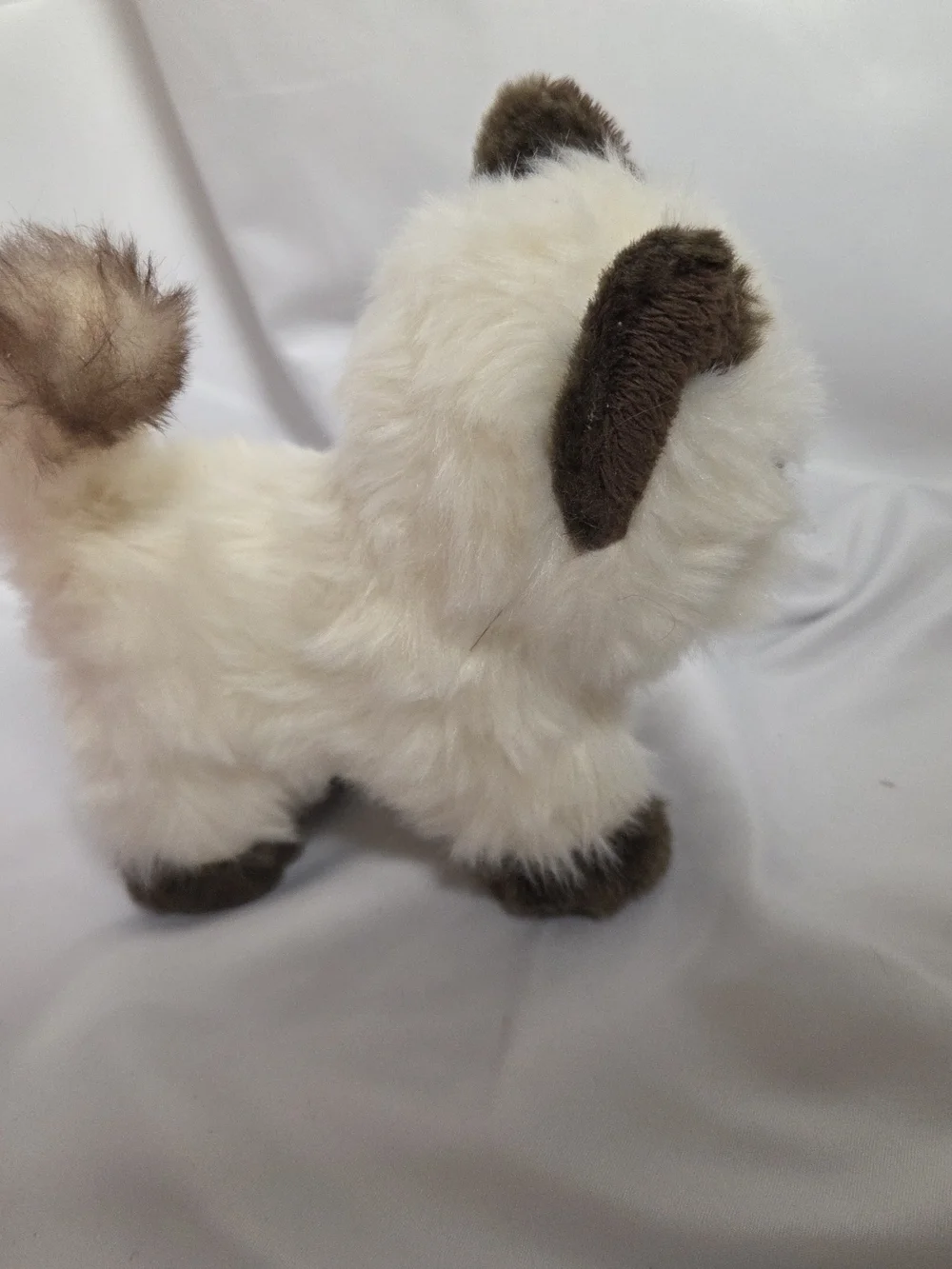 American Girl 5‎ inch Siamese Cat Poseable Marisol Himalayan Rascal Kitty